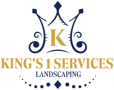 Kings 1 Services